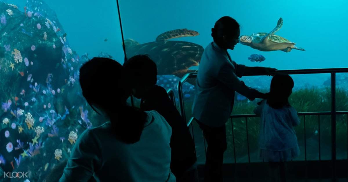 Up to 10% Off | Jakarta Aquarium Ticket - Klook India
